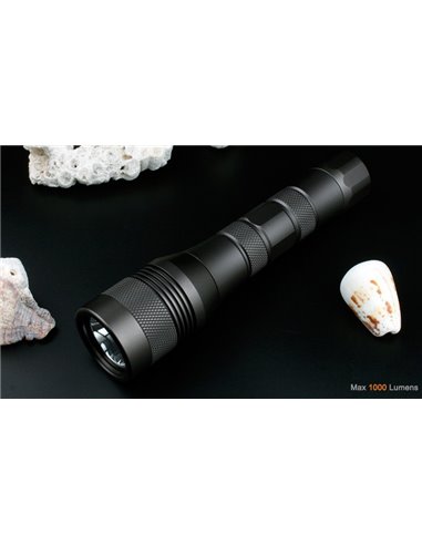 LED xFROG FL-01 Acu