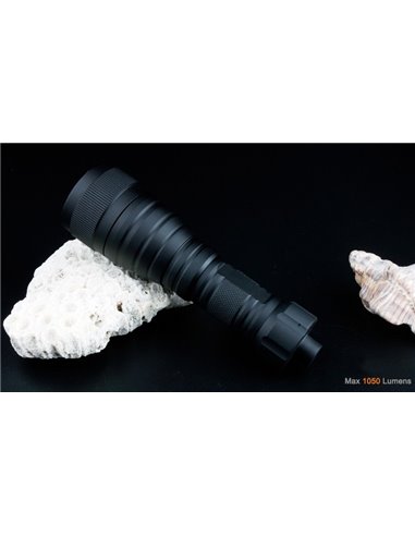 LED xFROG FL-01 Accu