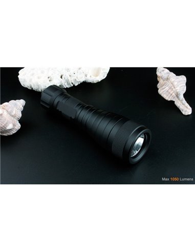 LED xFROG FL-01 Accu