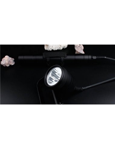 LED xFROG FL-06 Kanister Acu