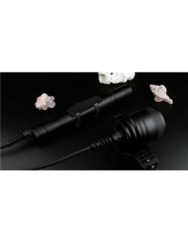 LED xFROG FL-06 Canister Accu