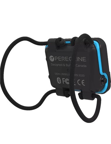 Shearwater Peregrine