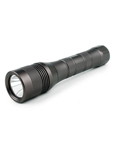 LED xFROG FL-01 Acu